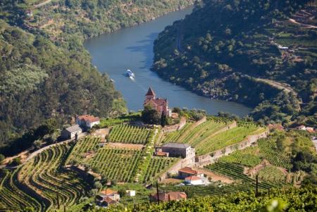 Thung lũng Douro Bồ Đào Nha: Hành trình khám phá ngành công nghiệp rượu vang