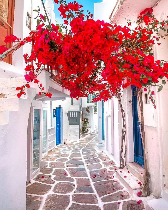 Du lịch Châu Âu ngắm nhìn vẻ đẹp Hy Lạp