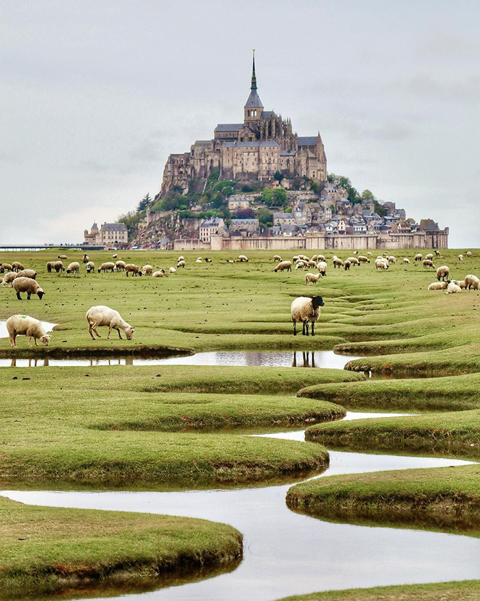 Du lịch đảo Mont Saint Michel Pháp thu hút khách du lịch