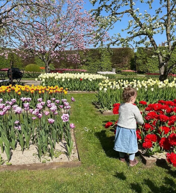 Tận hưởng không gian tại lâu đài Egeskov khi du lịch Odense Đan Mạch.