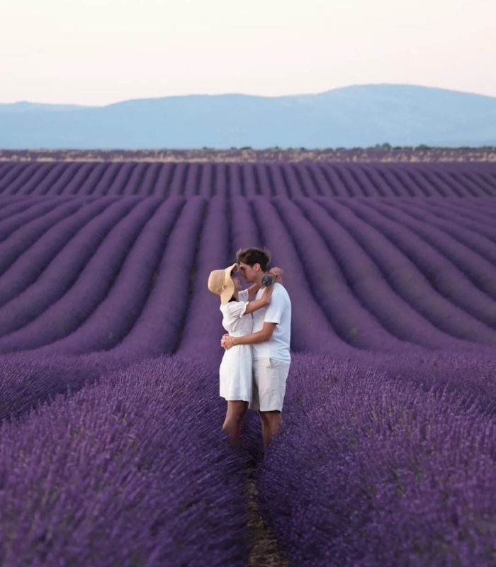 Ghé thăm Provence khi du lịch Pháp mùa hè