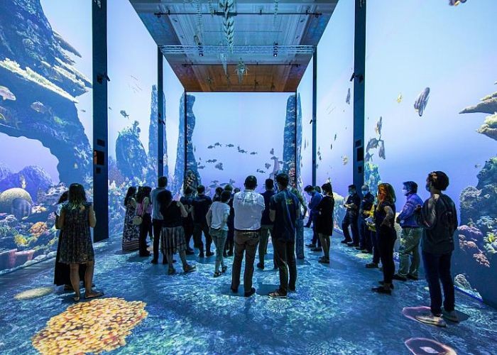Bảo tàng Hải dương học là trải nghiệm hấp dẫn tại Monaco