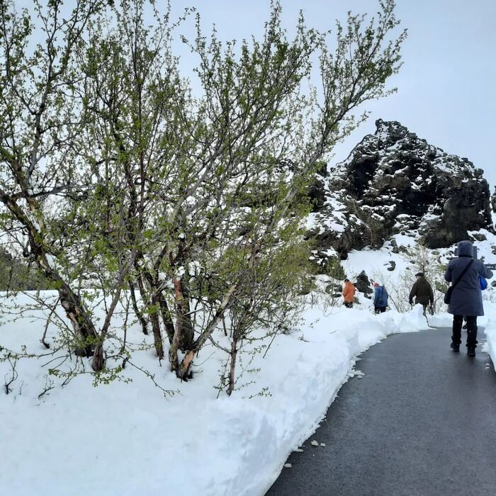 Đặt vé máy bay du lịch Reykjavik Iceland