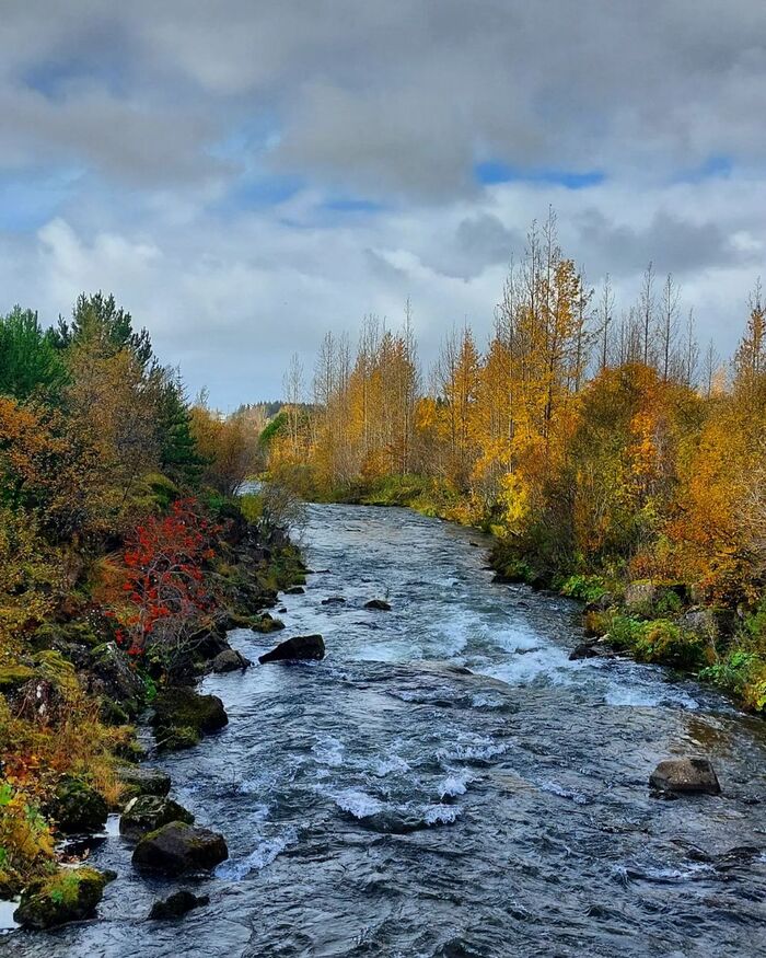 Ngắm nhìn vẻ đẹp thung lũng khi du lịch Reykjavik Iceland 