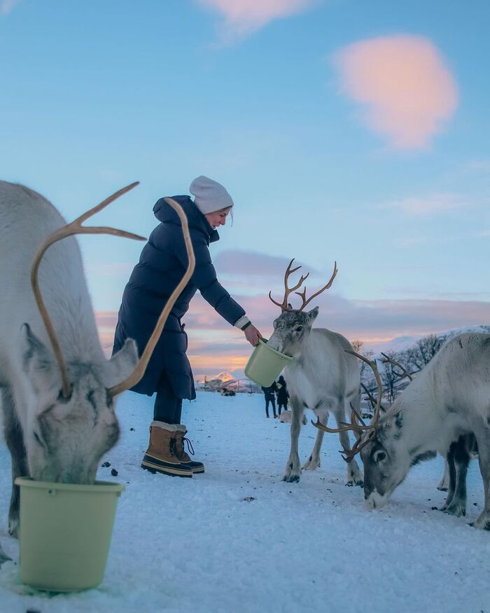 Trải nghiệm du lịch Tromso Na Uy mùa đông