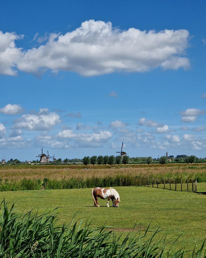 Du lịch làng Kinderdijk Hà Lan vào mùa hè