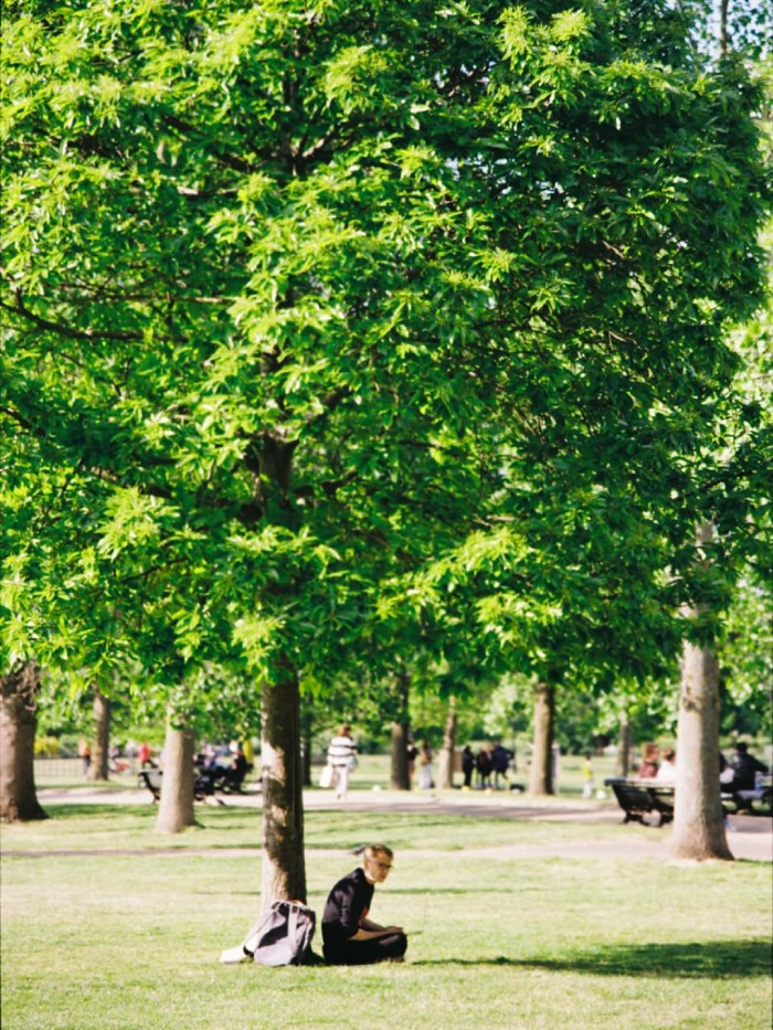 hyde park - địa điểm du lịch London mùa hè