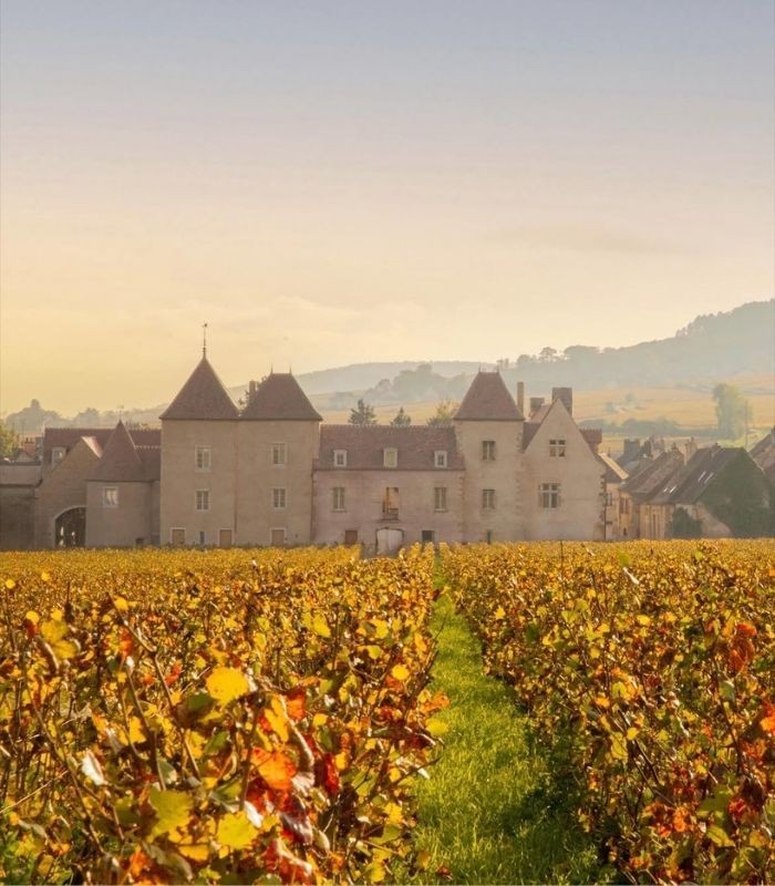 Kinh nghiệm du lịch Pháp mùa thu - Vùng Burgundy và Beaujolais