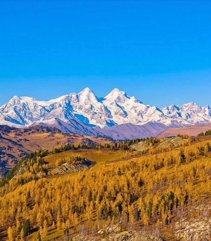 Kinh nghiệm du lịch Nga mùa thu - Núi Altai