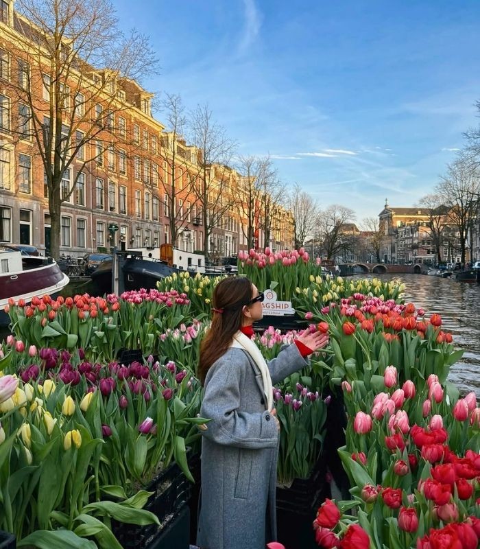 Địa điểm ngắm mùa thu châu Âu - Amsterdam (Hà Lan)