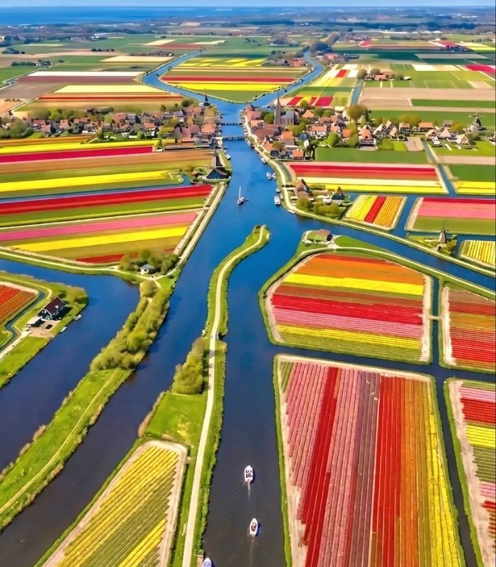 Kinh nghiệm du lịch Hà Lan - Keukenhof