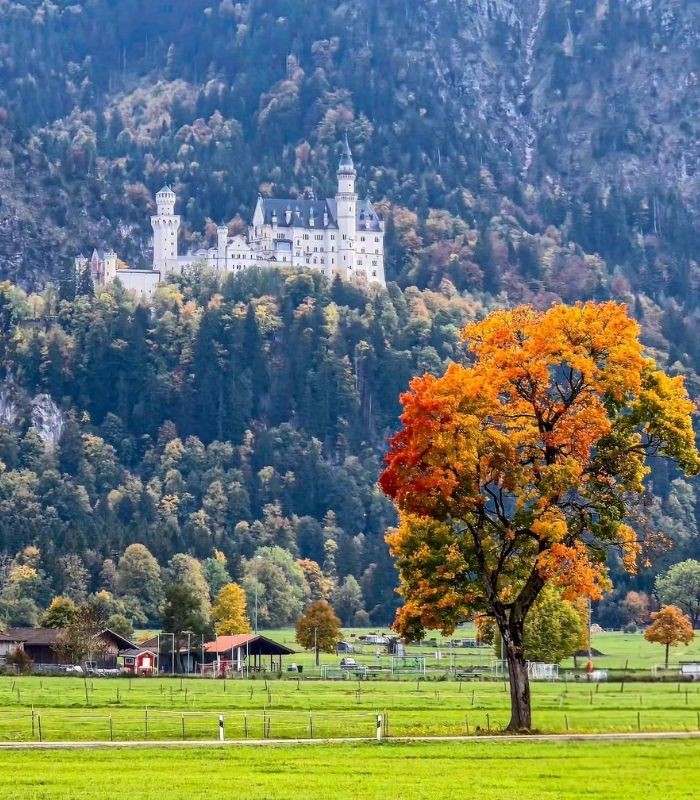Những góc chụp ảnh Lâu đài Neuschwanstein đẹp nhất