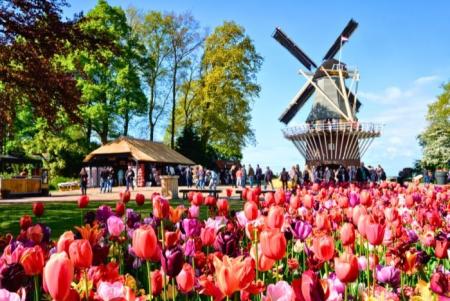 Tổng hợp kinh nghiệm du lịch Hà Lan tự túc cho người đi lần đầu