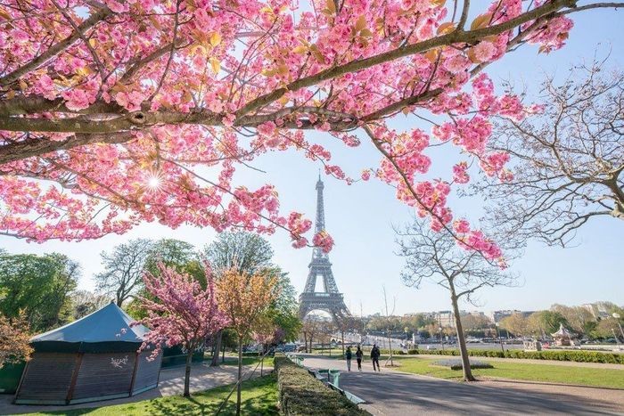 Paris vào mùa xuân sở hữu nét đẹp lãng mạn khiến ai cũng phải mê mẩn.- du lịch châu âu mùa xuân