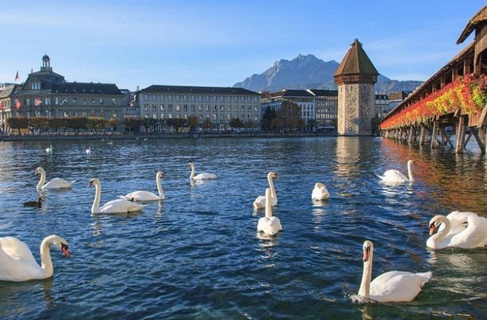 Thành phố ven hồ Lucerne với vẻ đẹp mộng mơ, yên bình -  địa điểm du lịch Thuỵ Sĩ