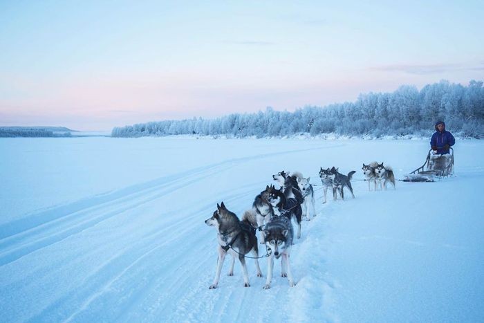 Đến châu Âu đừng bỏ qua Lapland, Phần Lan. - du lịch châu âu tháng 1