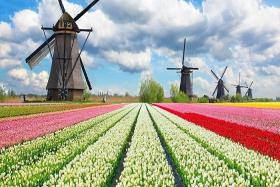 Khám phá 5 địa điểm du lịch Hà Lan hấp dẫn nhất dành cho du khách