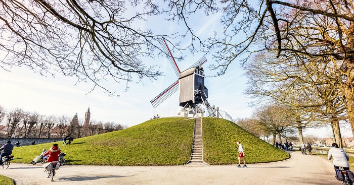 Ngắm cối xay gió là một trong những trải nghiệm hấp dẫn không thể bỏ lỡ khi du lịch Bruges