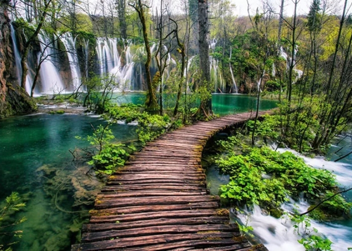 Du lịch công viên quốc gia hồ Plitvice Croatia - Hồ Plitvice có cây cối và thác nước bao quanh