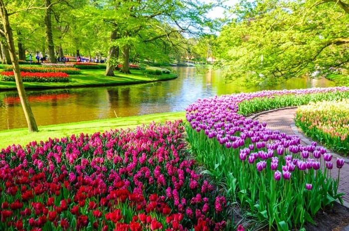 Keukenhof cánh đồng hoa tulip ở Hà Lan mà bạn không thể bỏ qua