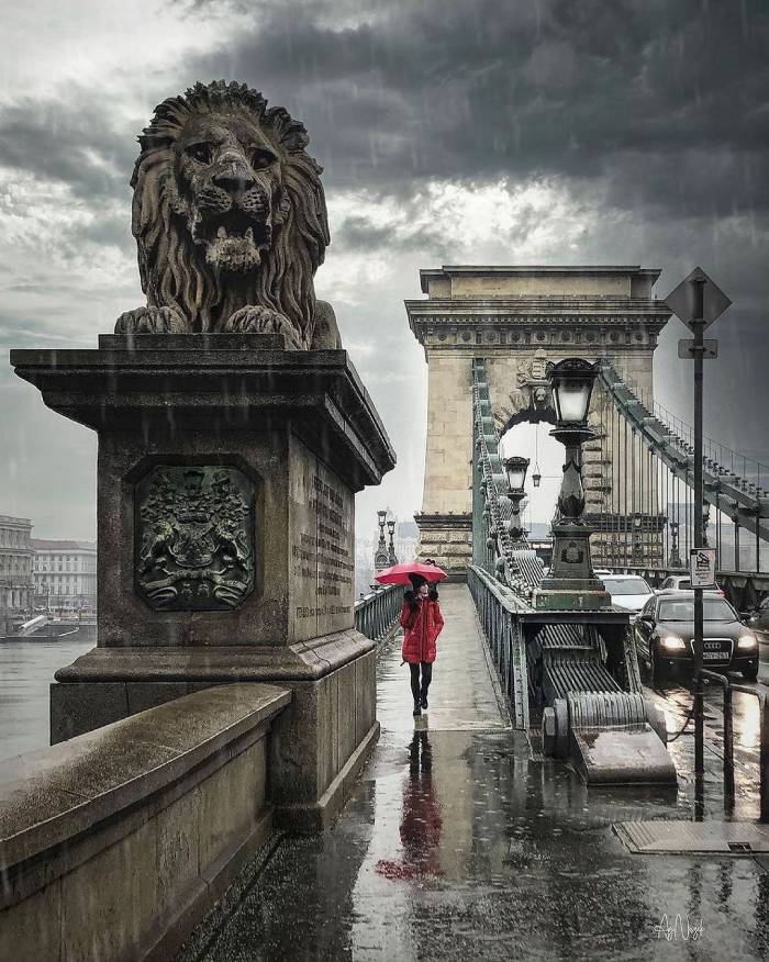 Truyền thuyết về bức tượng sư tử đặt tại Cầu Chain Bridge Hungary