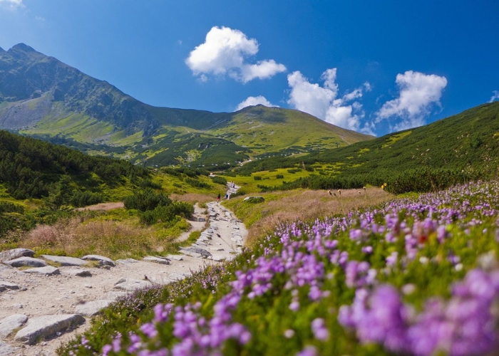 Khung cảnh thiên nhiên tuyệt vời tại dãy núi Tatra Ba Lan