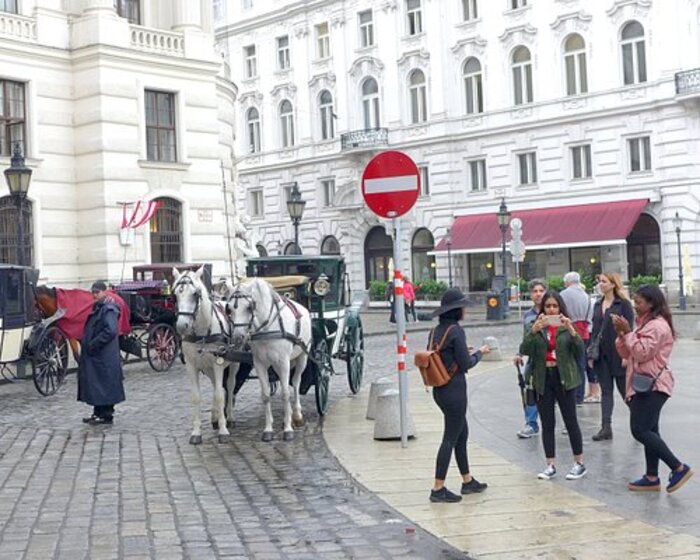 Du lịch Vienna Áo trải nghiệm đi xe ngựa