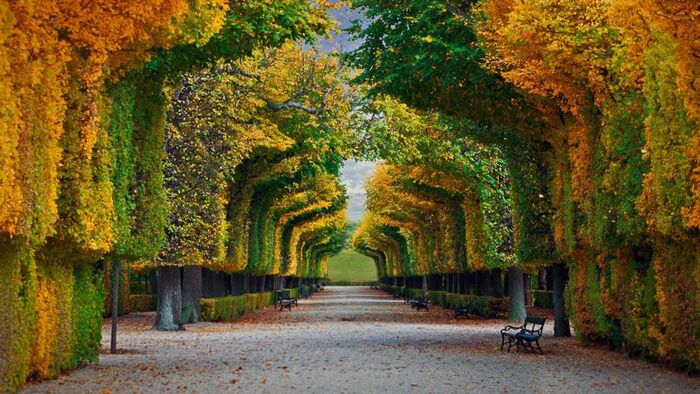 Du lịch Vienna Áo ngắm nhìn khu vườn tại cung điện mùa hè