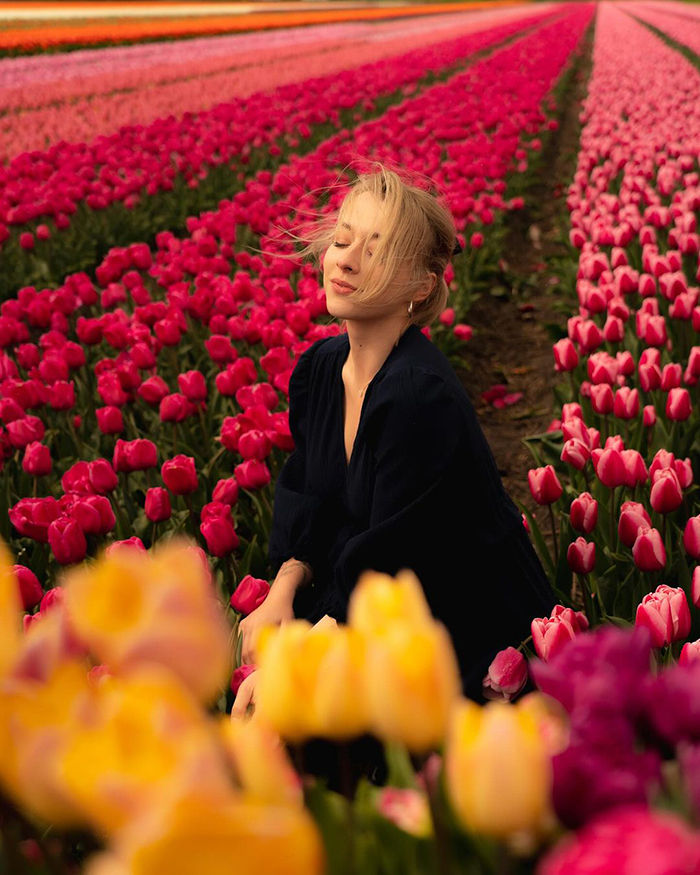 Lễ hội hoa Tulip ở Amsterdam - Hà Lan