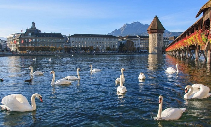 Hồ Lucerne địa danh hấp dẫn không thể bỏ qua trong tuyến tour châu Âu giá ưu đãi 11 ngày từ Đà Nẵng