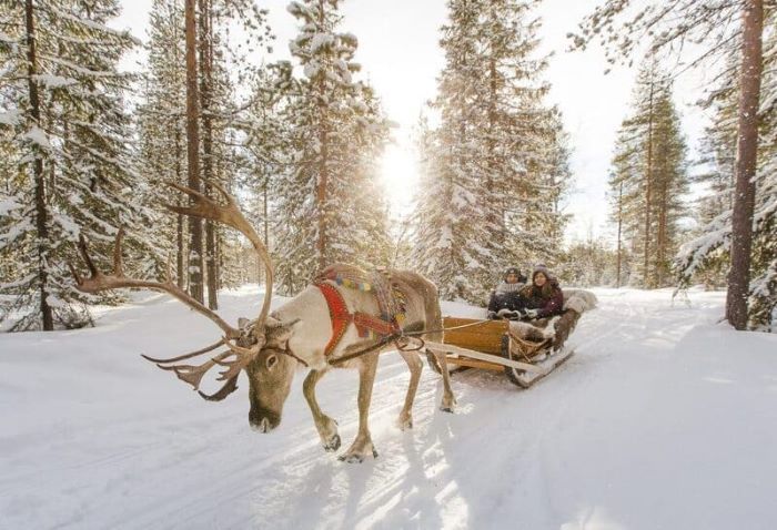 Lapland là vùng đất hấp dẫn rất nhiều du khách khi đến đây