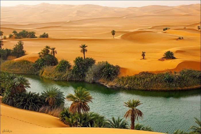 Trải nghiệm cuộc sống du mục khi khám phá sa mạc Sahara