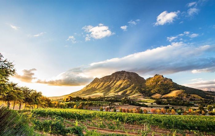 Thị trấn Stellenbosch xinh đẹp