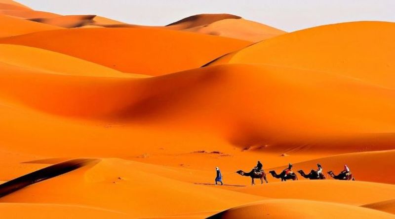 Sahara là điểm tham quan rất thú vị khi tới Ai Cập