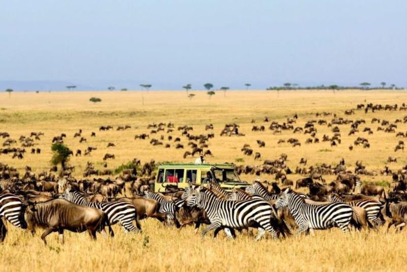 Cảnh đẹp thiên nhiên hoang dã ở khu bảo tồn Masai Mara