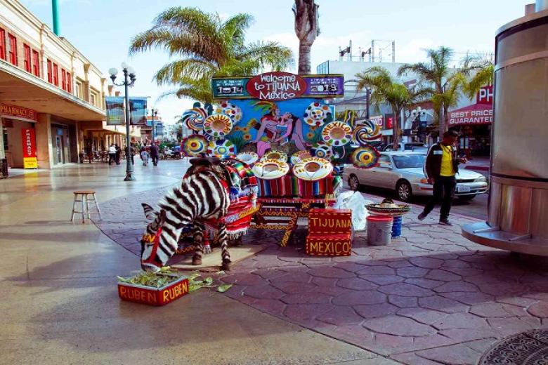 Thành phố Tijuana (Mexico)