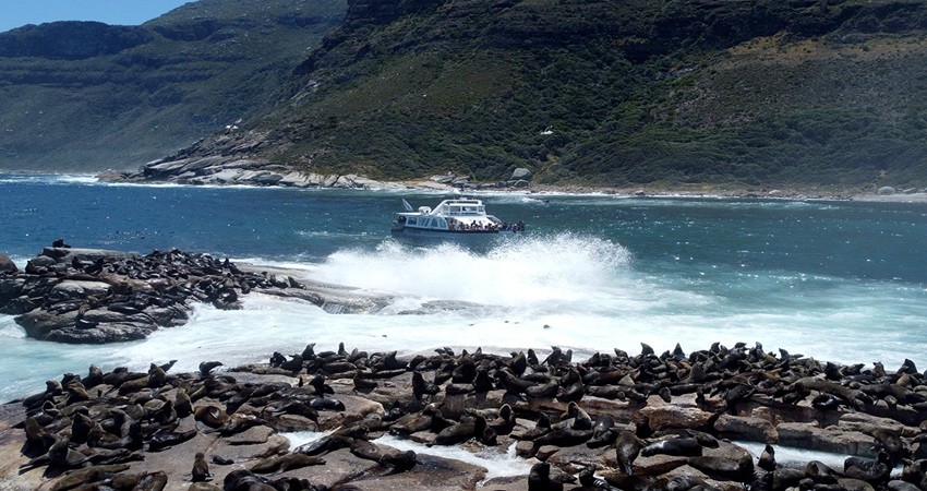 Seal Island