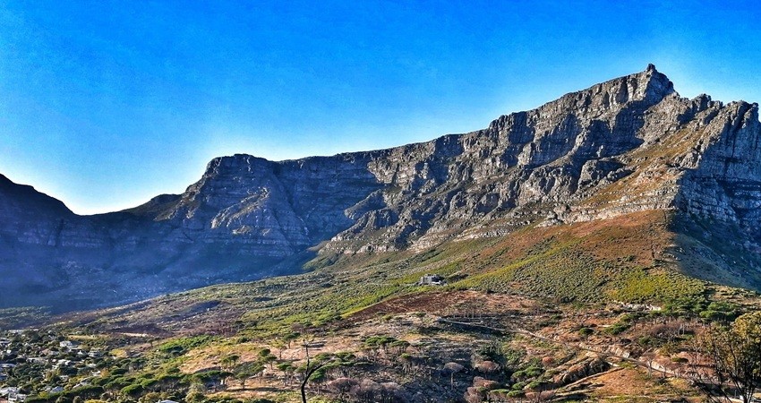 Table Mountain