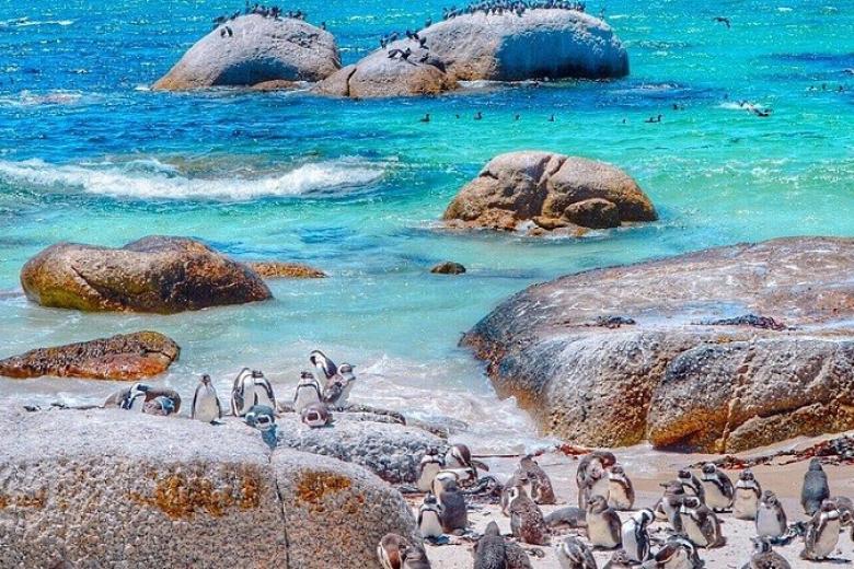 Boulder Beach
