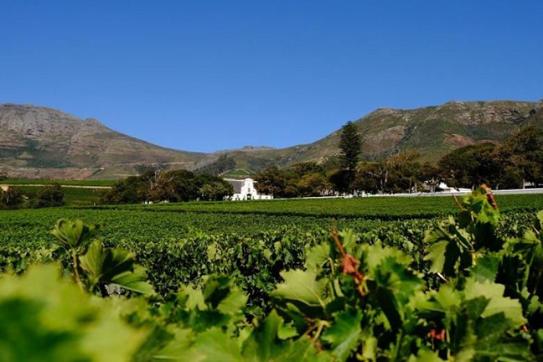 Groot Constantia Wine Estate