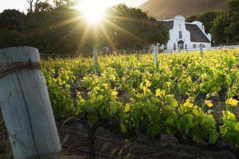 Groot Constantia Wine Estate