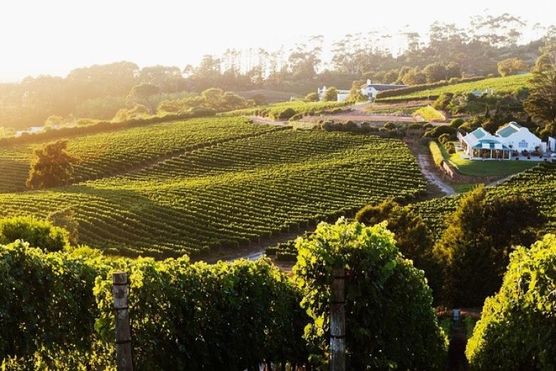 Groot Constantia Wine Estate