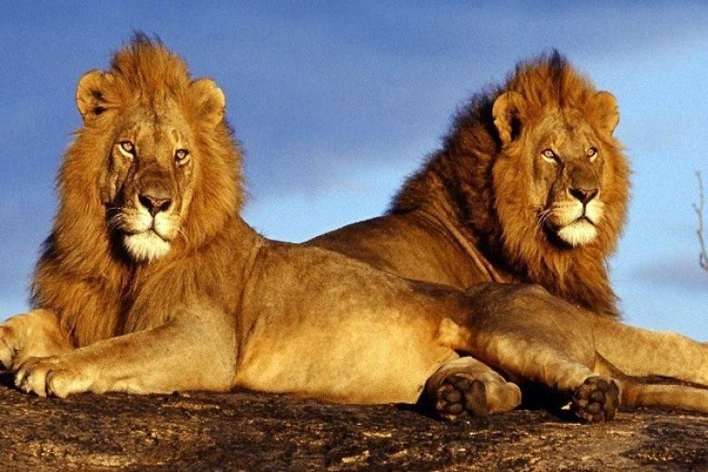 Pilanesberg Game Reserve
