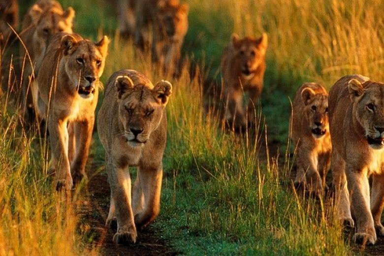 Pilanesberg Game Reserve