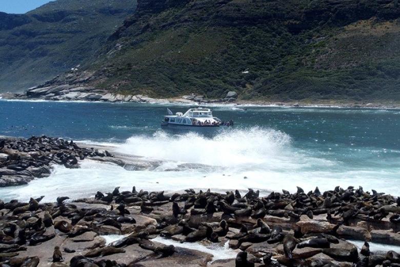 Seal Island