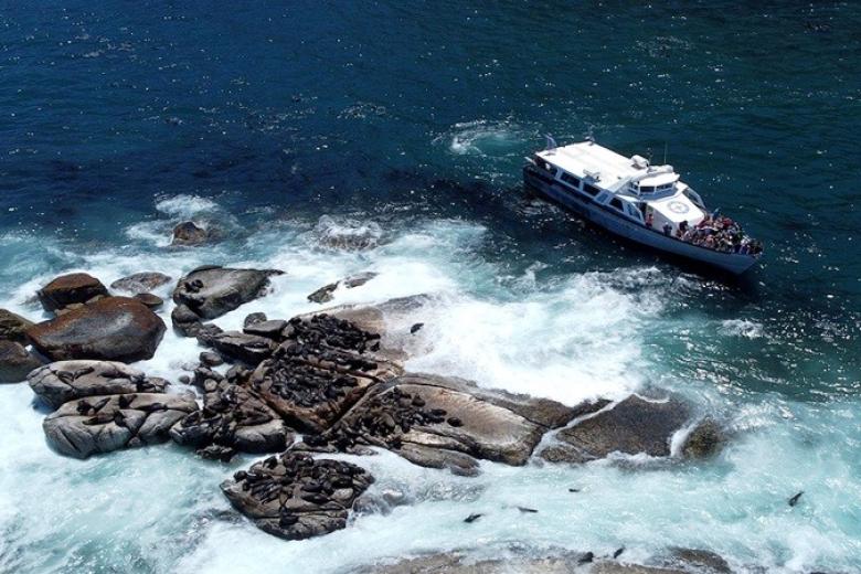 Seal Island