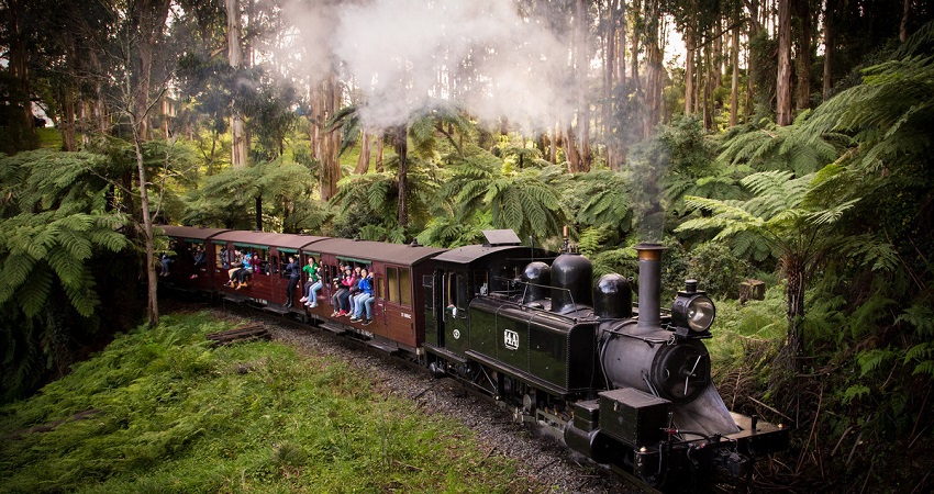 Trải nghiệm tàu lửa hơi nước Puffing Billy