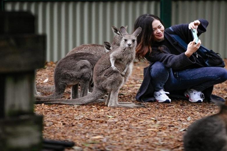 Featherdale Wildlife Park