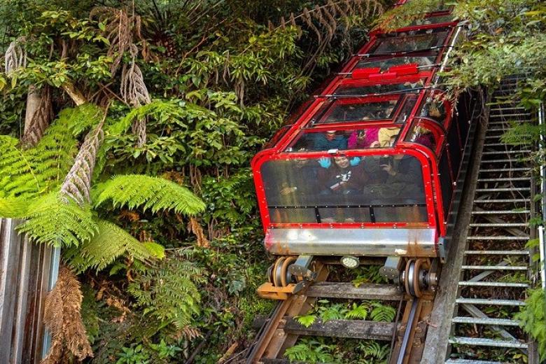 Trải nghiệm tàu kéo Sennic World