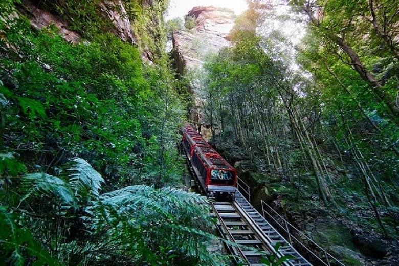 Trải nghiệm tàu kéo Sennic World